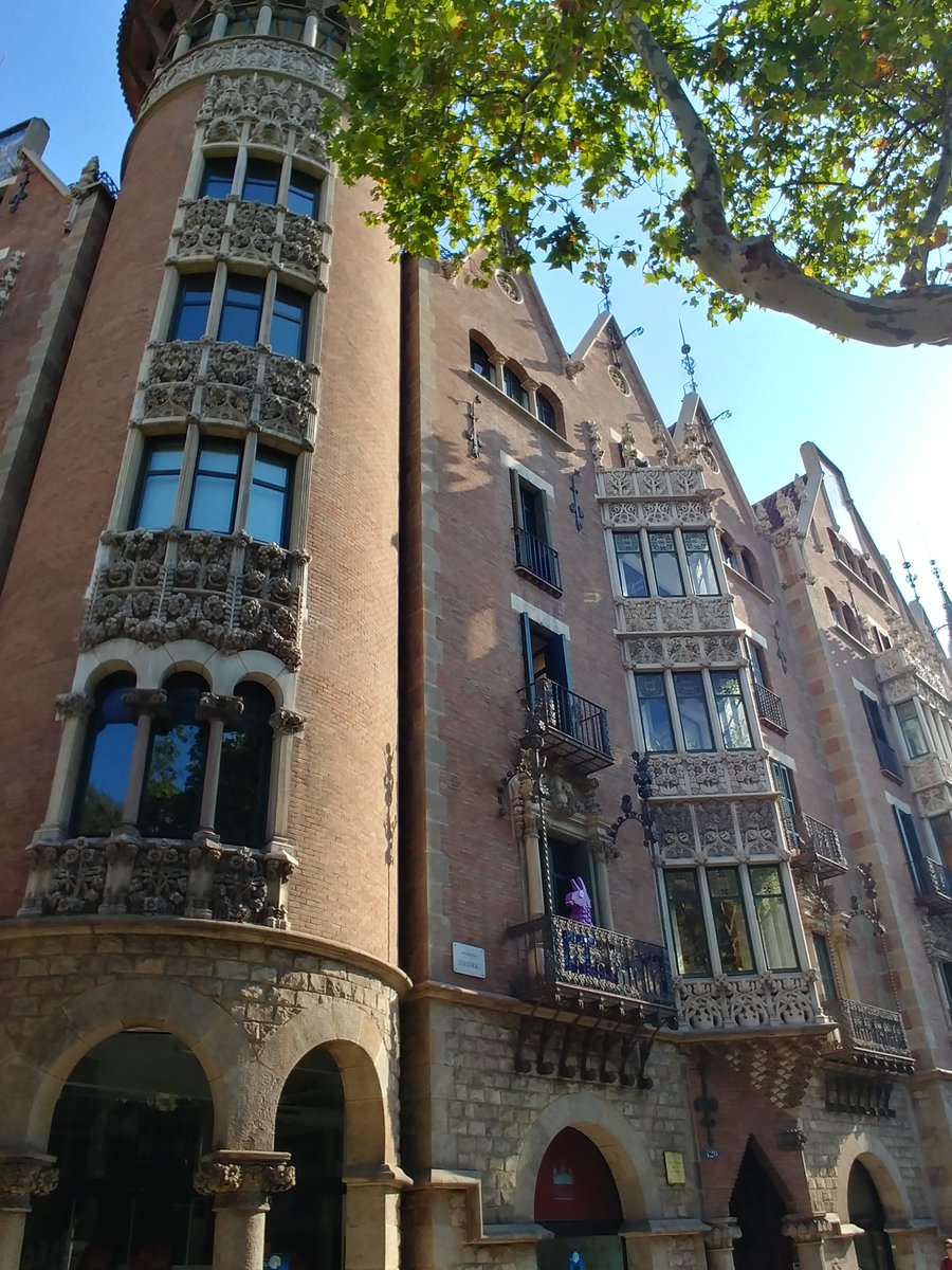 Llama Barcelona