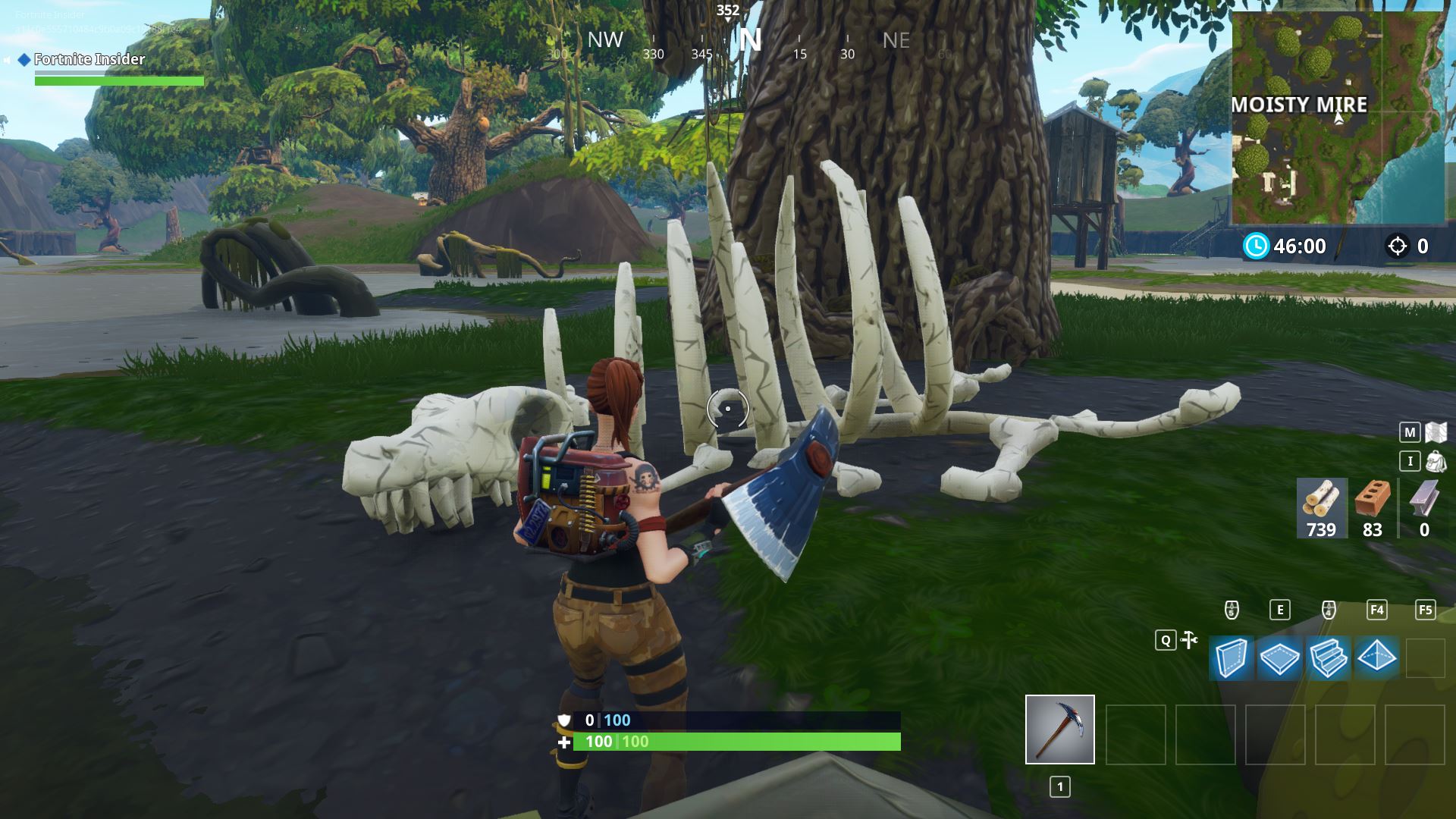 Fortnite Skeleton