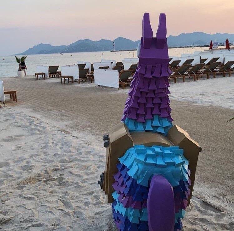 Llama in France