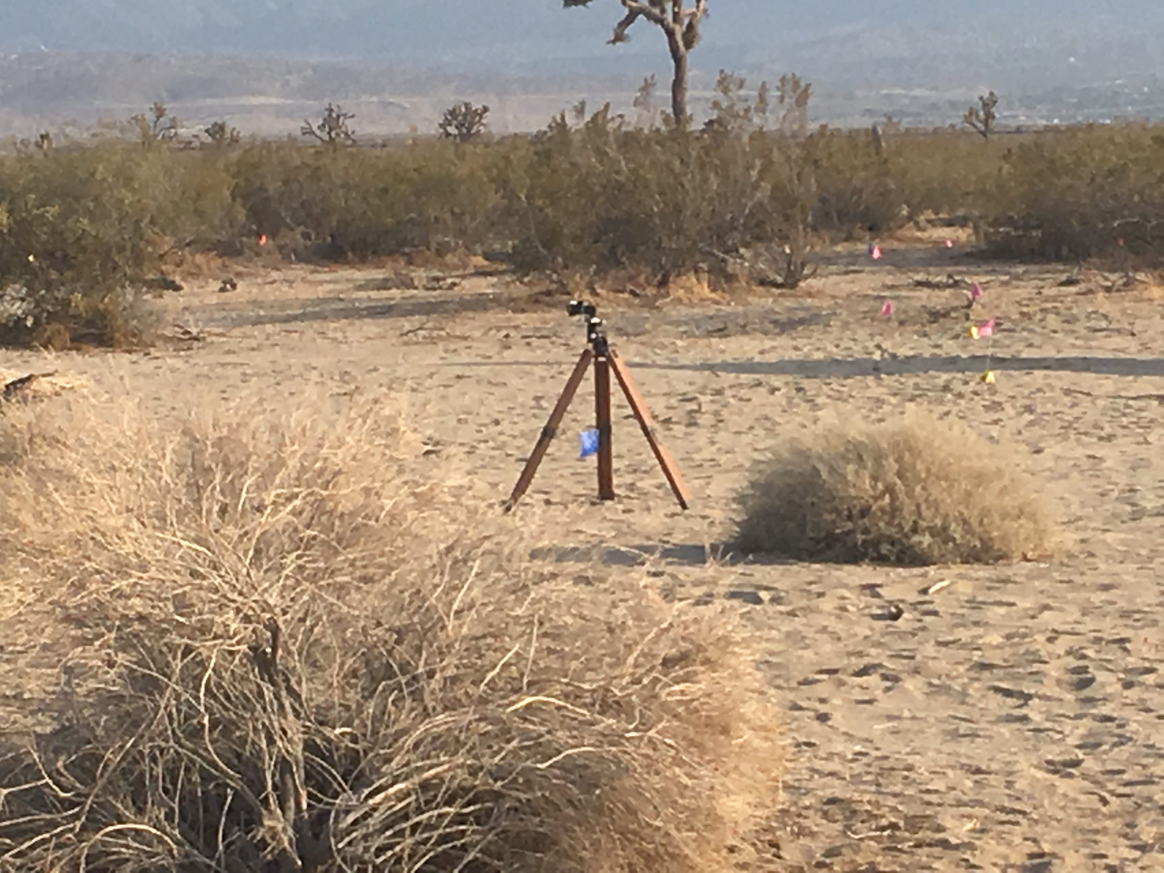 Measuring Device at Durrr Burger Location