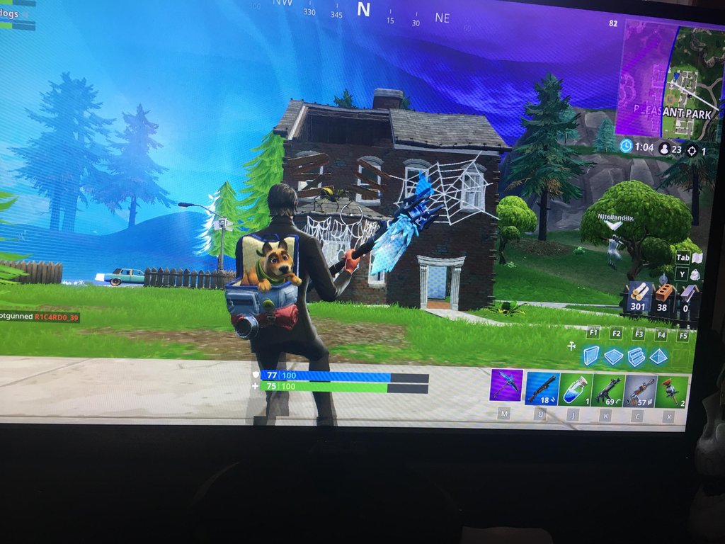 Cobweb in Pleasant Park