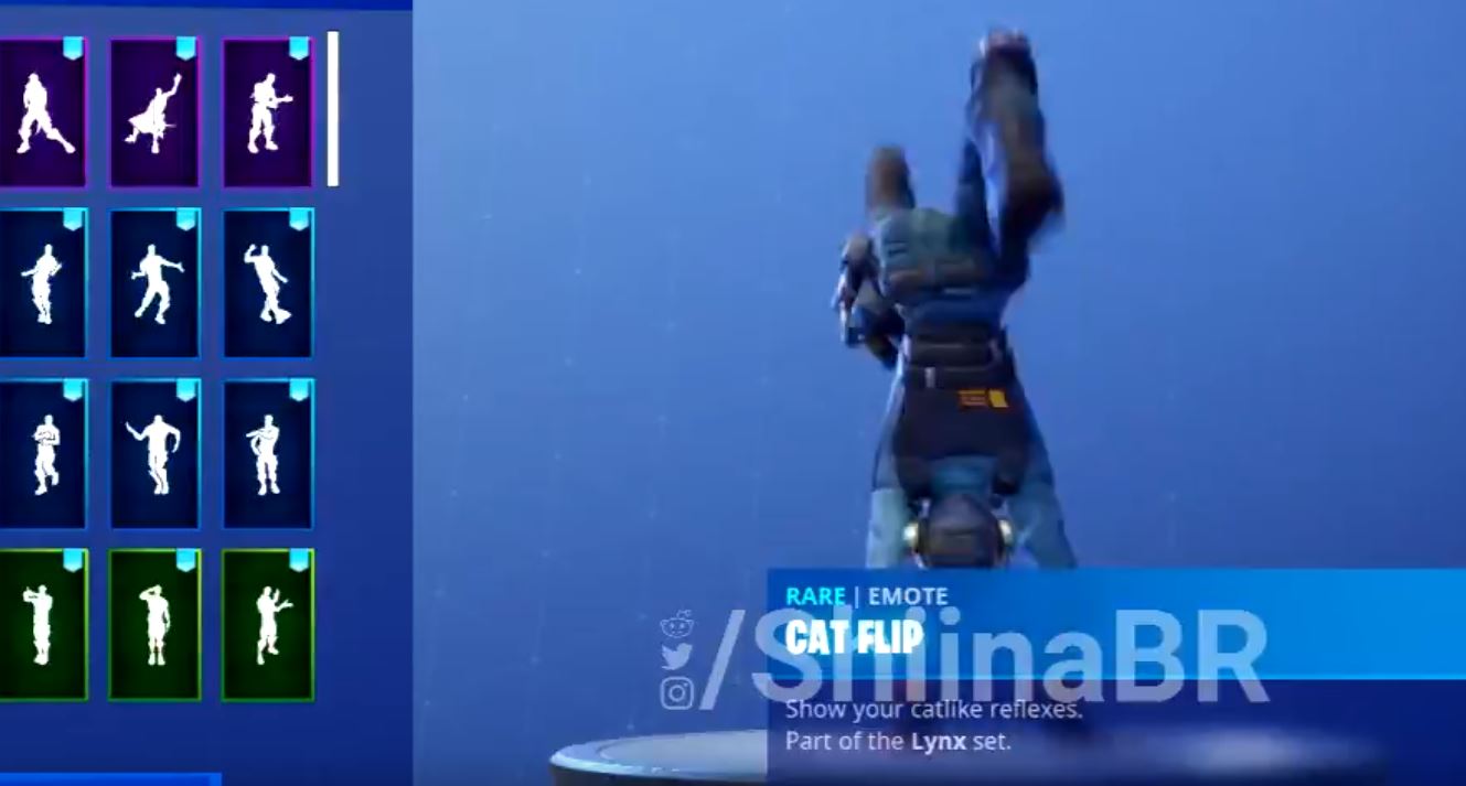 leaked Cat Flip emote ingame