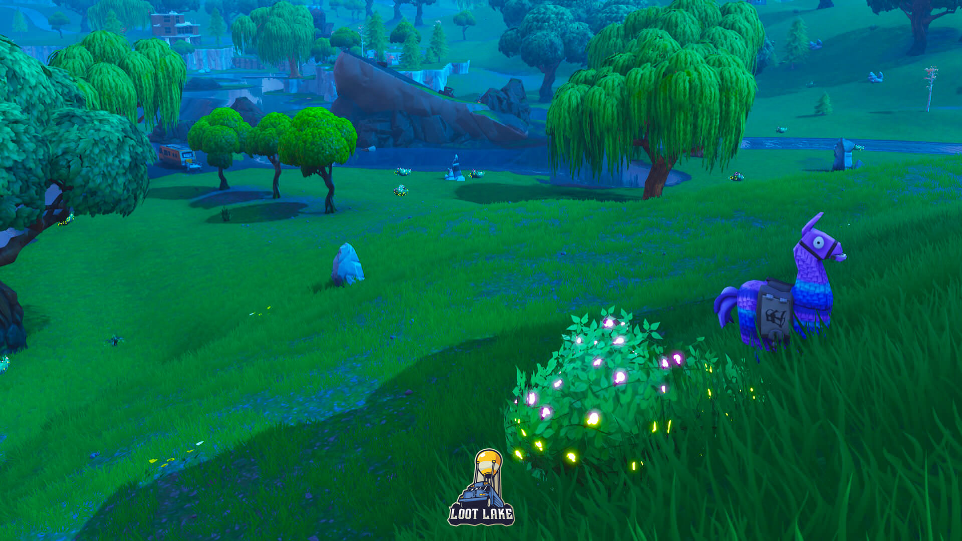 Festive Bushes