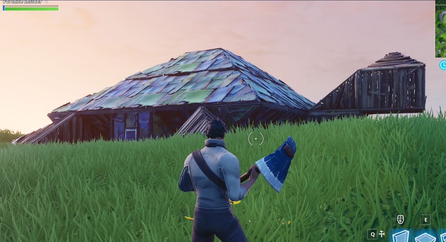 Turtle near Wailing Woods