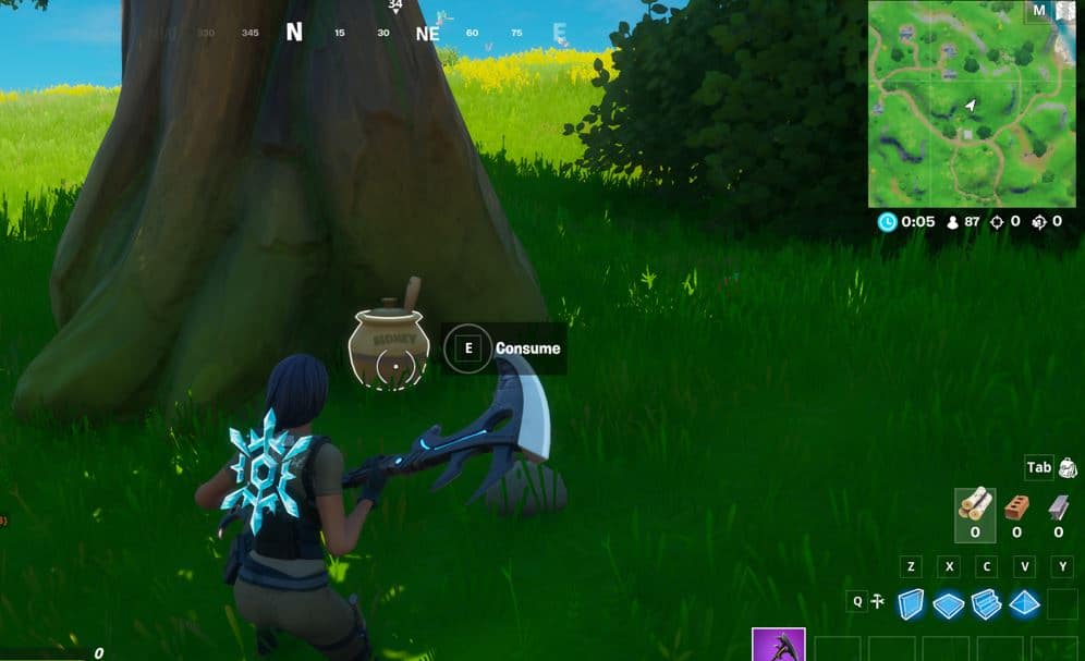 Fortnite Honey Pot Location - North of Pleasant Park