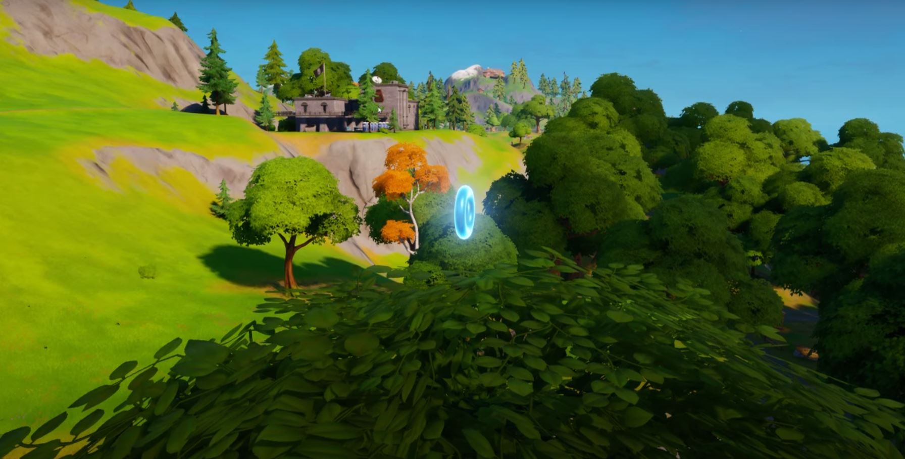 Floating Rings Weeping Woods