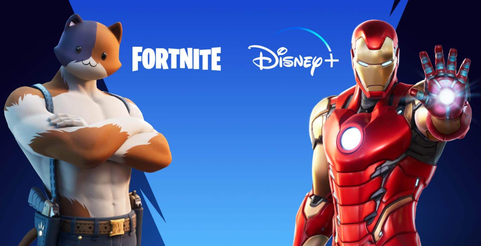 Fortnite Disney Plus