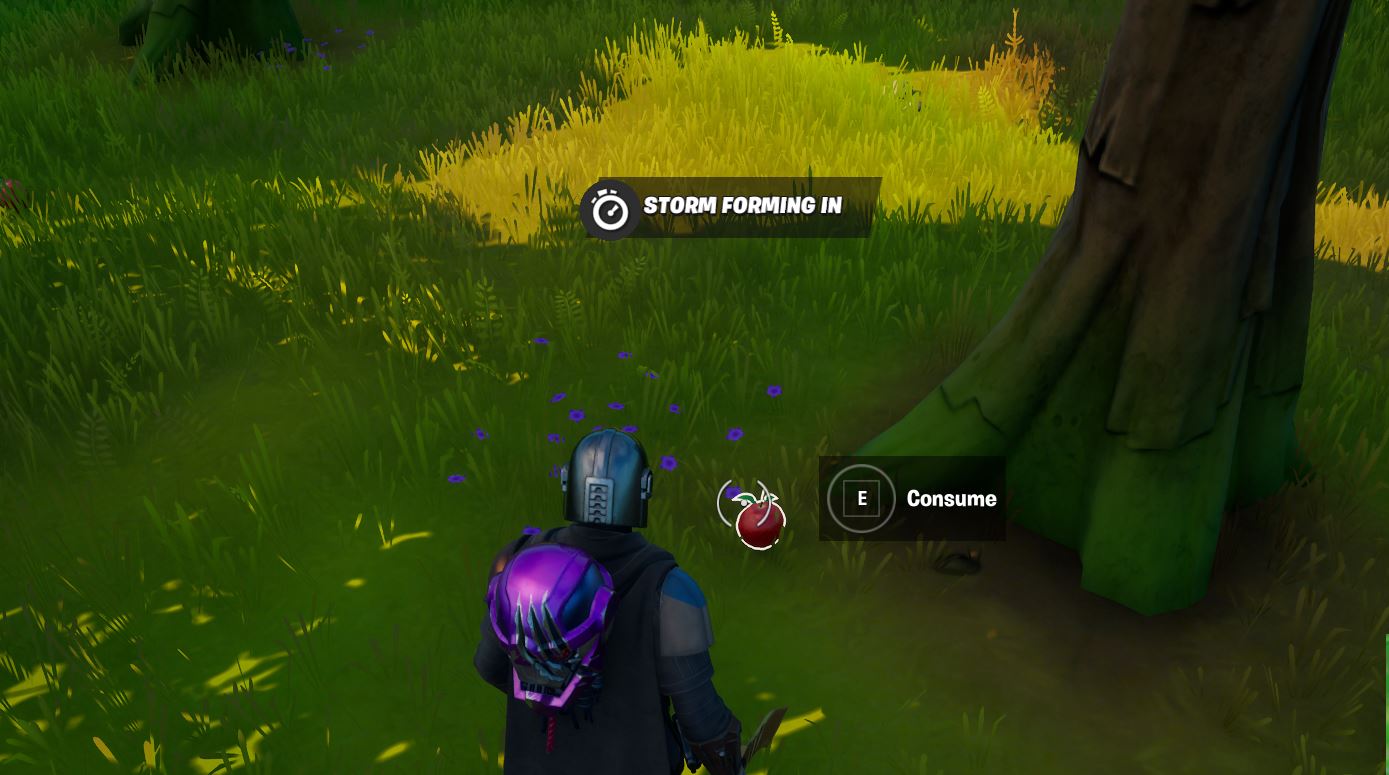 Fortnite Use food consumables