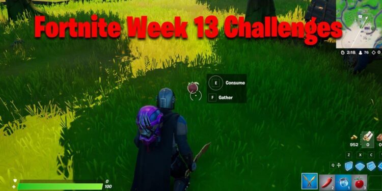 Fortnite Week 13 Challenges