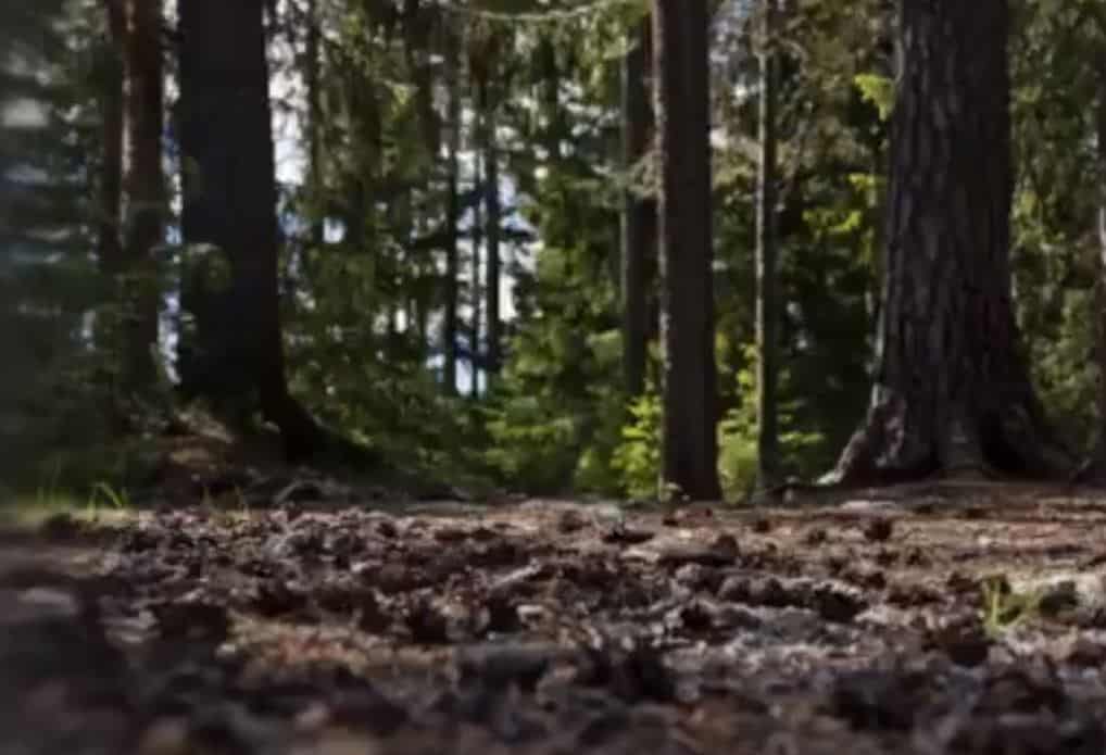 Fortnite Ant-Man Skin