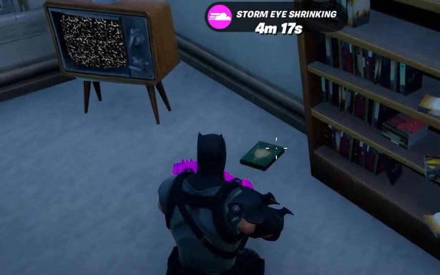 Fortnite Collect Research Books from Holly Hedges and Pleasant Park