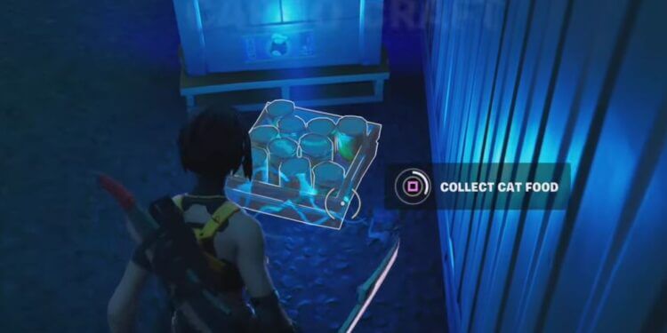 Collect Cat Food Fortnite Locations