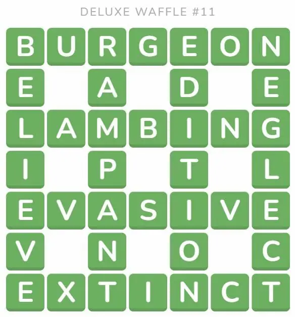 Daily Deluxe Waffle 11 Answer