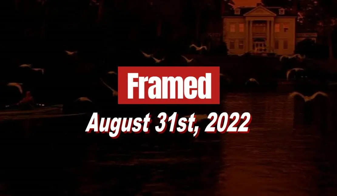 Daily Framed 173 Movie - August 31, 2022