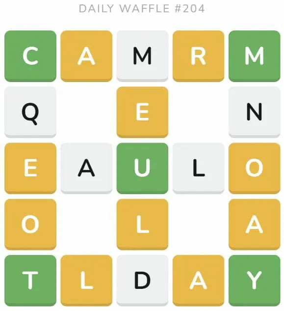 Daily Waffle Game 204 Puzzle - August 13th 2022
