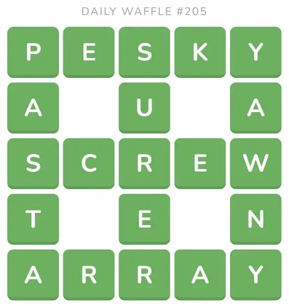 Daily Waffle Game 205 Answer - August 14th 2022