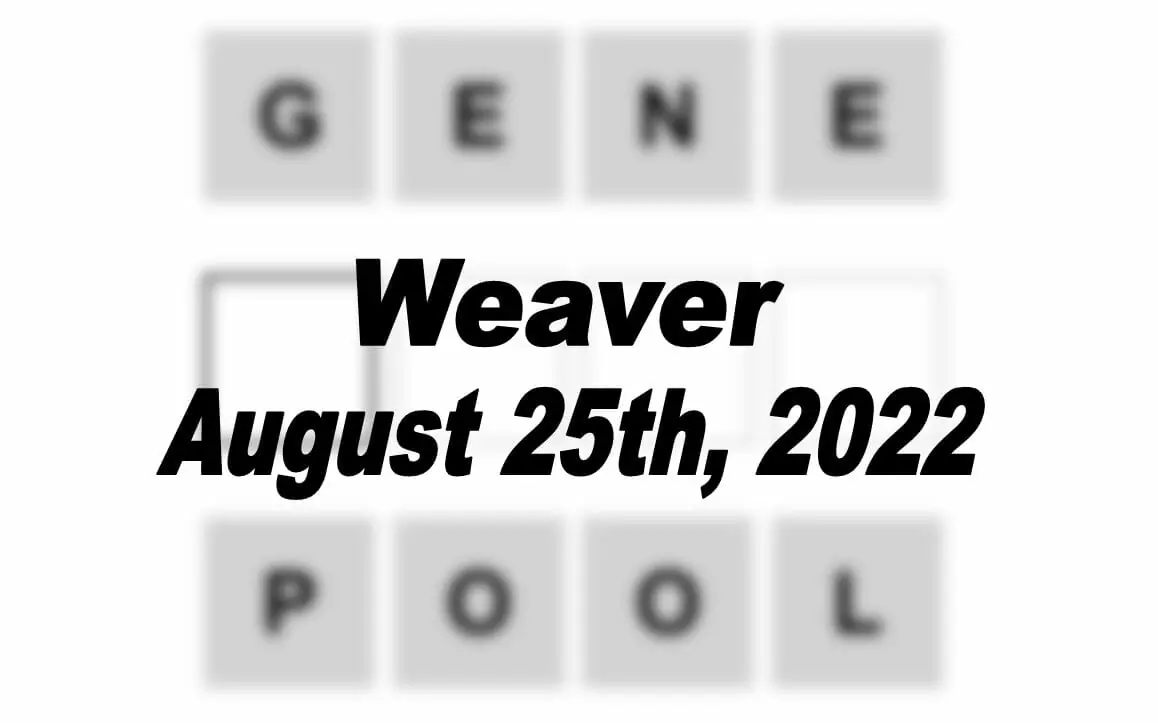 Daily Weaver - 25th August 2022