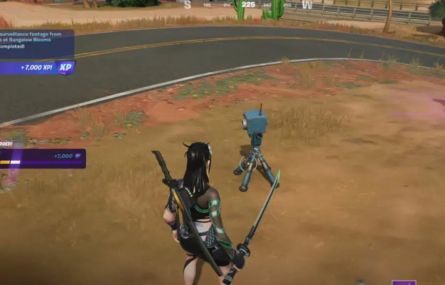 Find the Visitor & Collect Surveillance Footage from Cameras at Bungalow Blooms