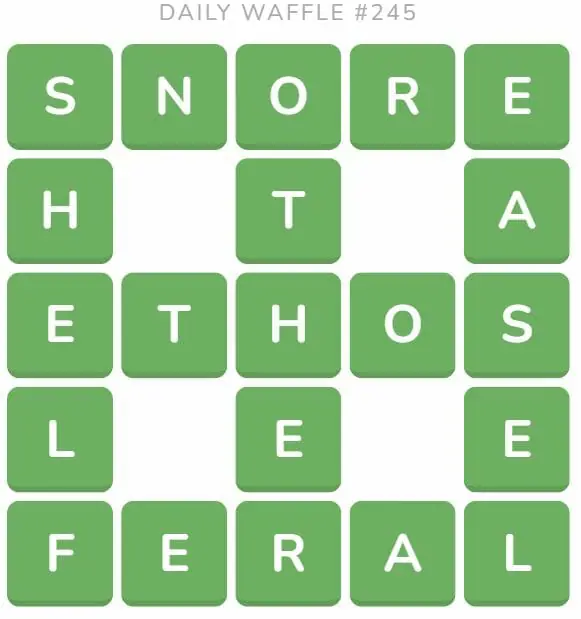 Daily Waffle Game 245 Answer - September 23rd 2022