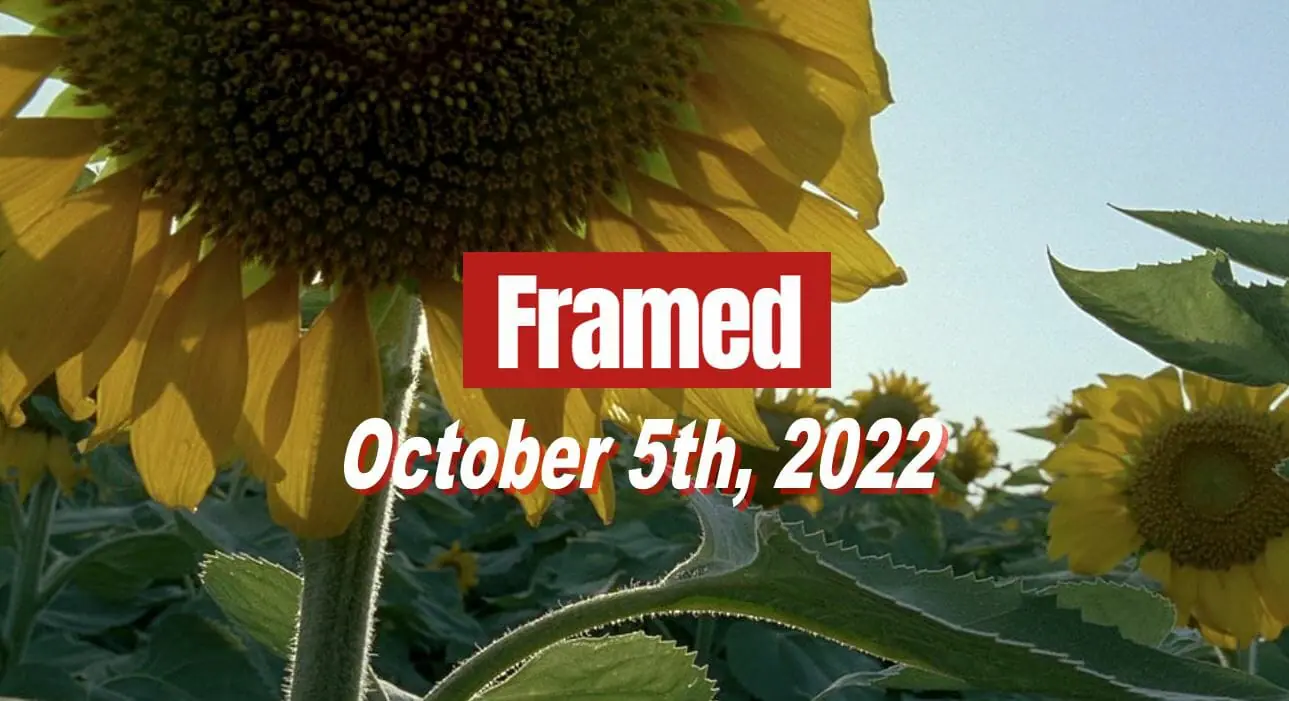 Daily Framed 208 Movie - October 5, 2022