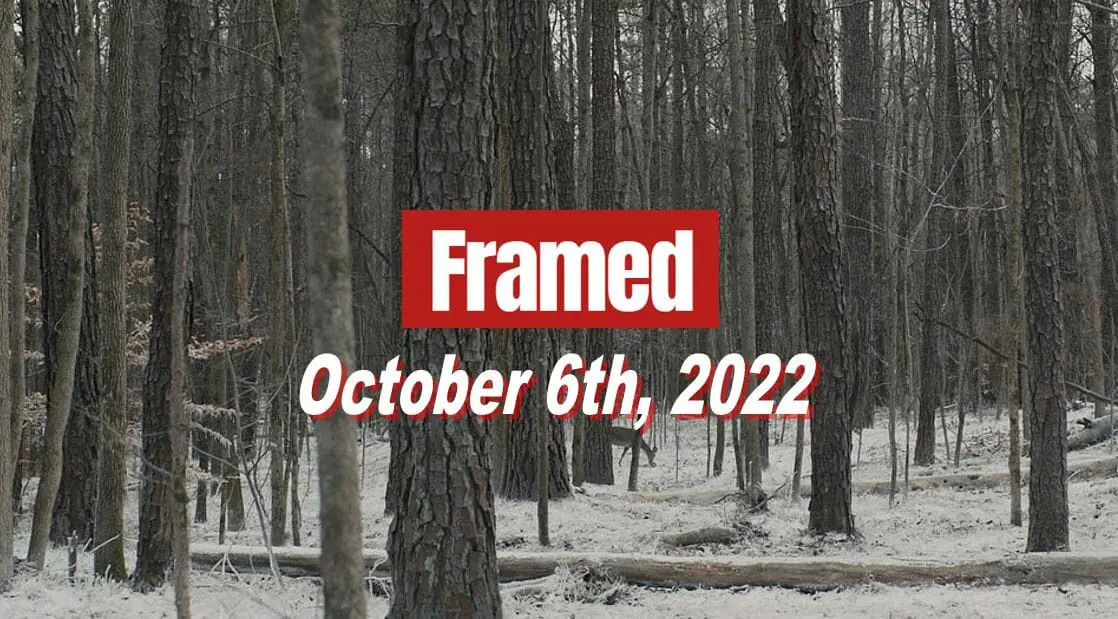 Daily Framed 209 Movie - October 6, 2022