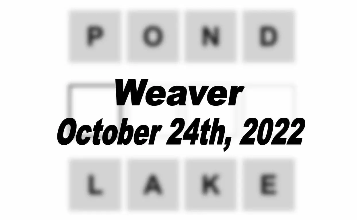 Daily Weaver - 24th October 2022