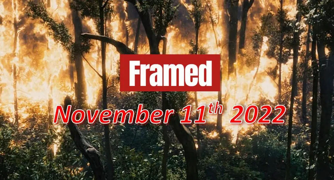 Daily Framed 245 Movie - November 11, 2022