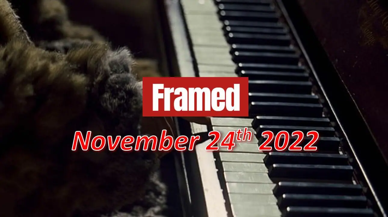 Daily Framed 258 Movie - November 24, 2022