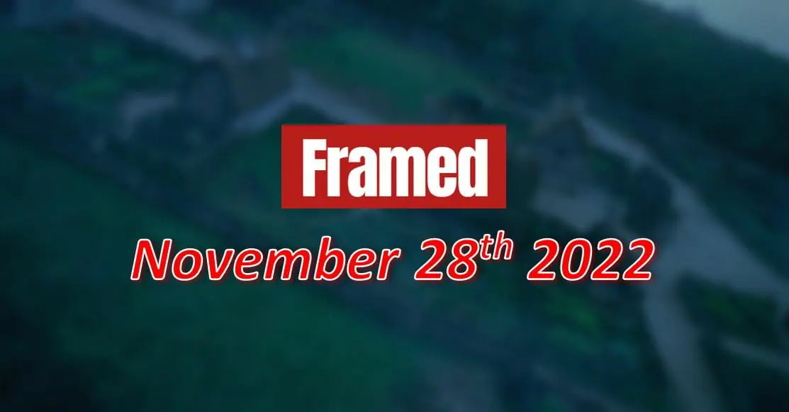 Daily Framed 262 Movie - November 28, 2022