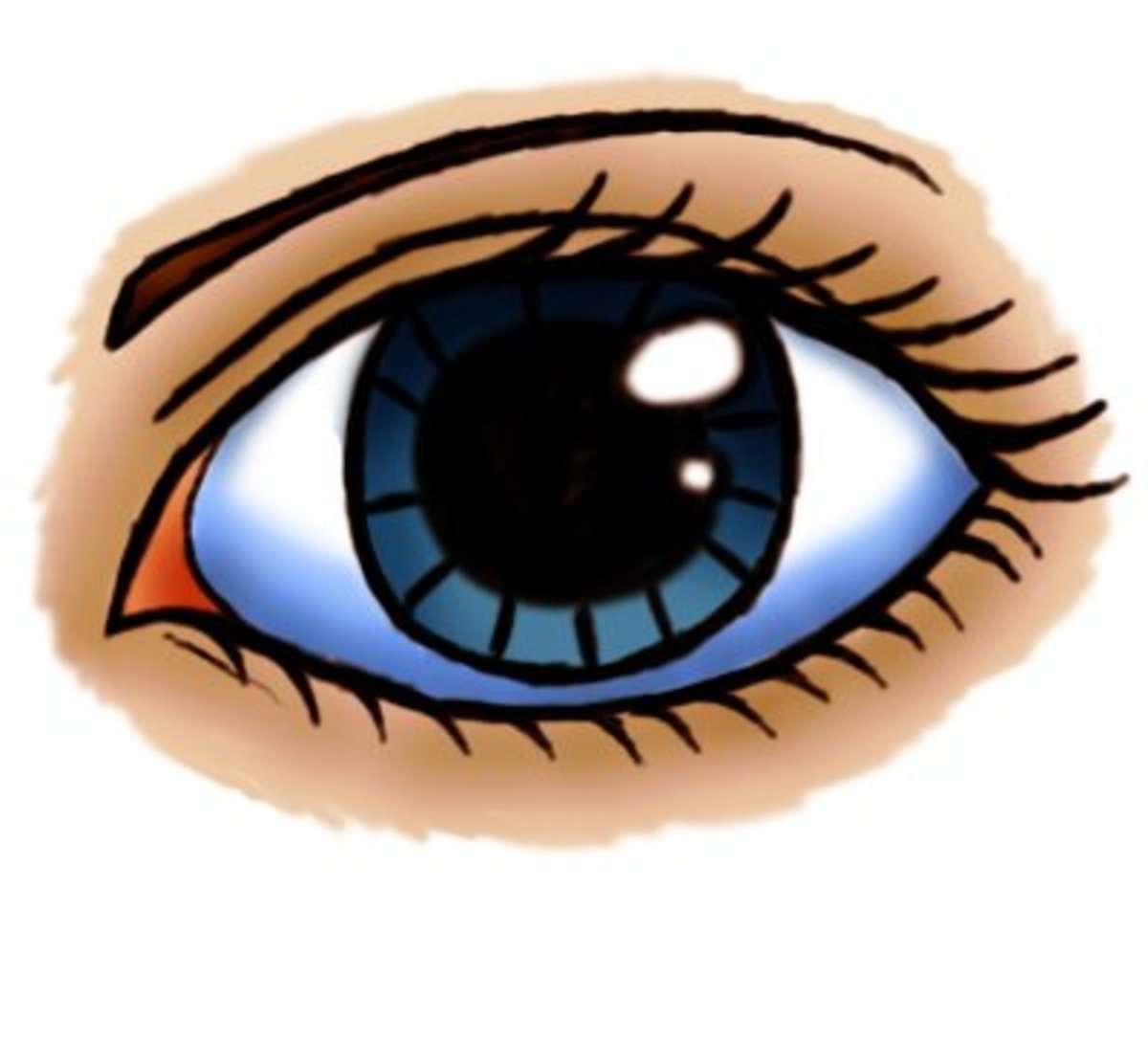 Daily NYT Connections 227 Hint - 24th January 2024