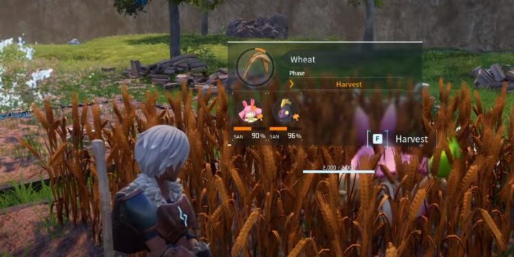How and where to find wheat seeds in Palworld Locations