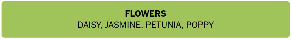 Daily NYT Connections 430 Solution - 14th August 2024 