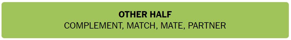 Daily NYT Connections 431 Solution - 15th August 2024
