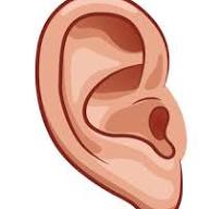 Daily NYT Connections 448 Hint - 1st September 2024