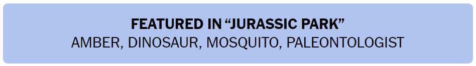 Daily NYT Connections 458 Solution - 11th September 2024