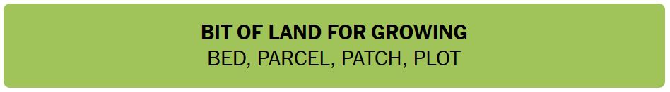Daily NYT Connections 470 Solution - 23rd September 2024