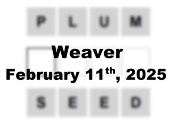 ‘Wordle’ Answer Today 1333 February 11th 2025 – Hints and Solution (2/11/25)