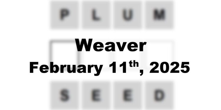 Daily Weaver Answers - 11th February 2025