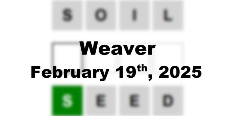 Daily Weaver Answers - 19th February 2025